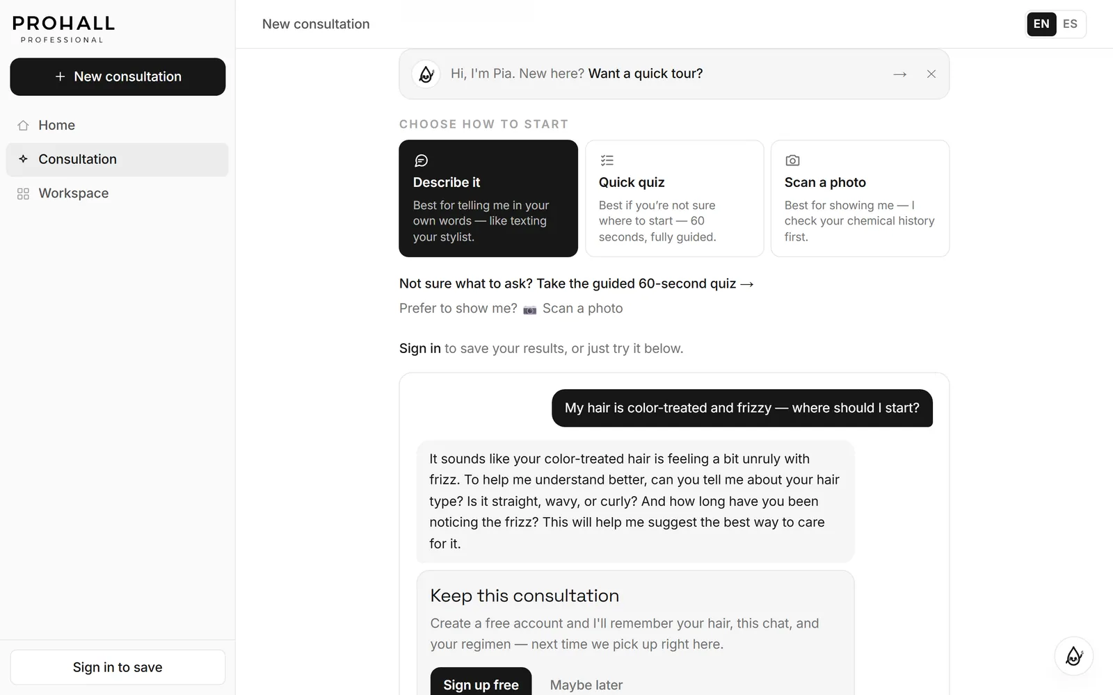 Live consultation thread where a customer describes colour-treated, frizzy hair and the assistant replies by asking about hair type before recommending anything